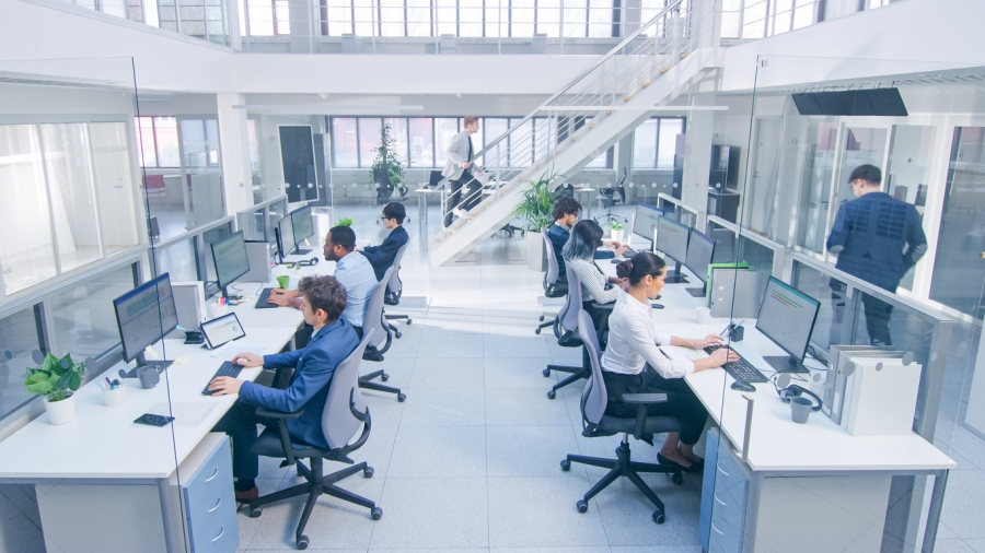 Team members engaged in tasks at their desks within a contemporary office space.